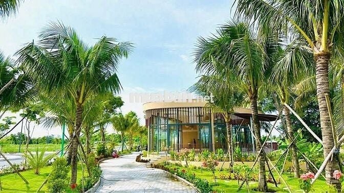 Bán gấp nền đất Agora City 112m2 đất ODT ngang 7m tiện ở và kinh doanh