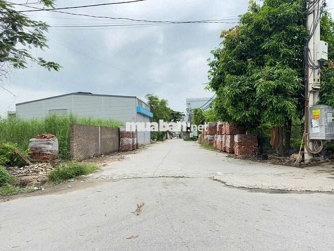 Chính chủ cần tiền gửi bán mảnh đất tại tổ 9 Quang Minh, Mê Linh.