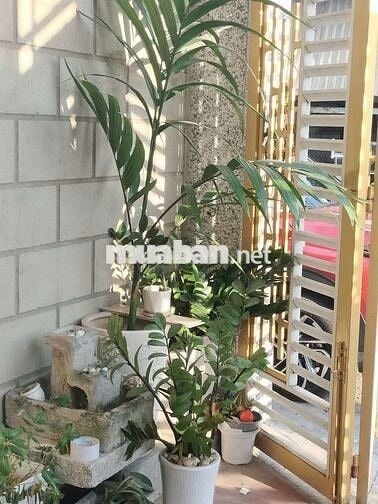 Nhà mặt tiền xe tải an sương 2 lầu sân thượng