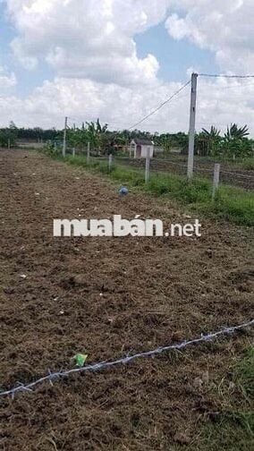 BÁN ĐẤT QUẬN 12 GIÁ TỐT - Khu vực phát triển mạnh, lợi nhuận cao