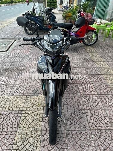 si 50c led 2024 dep vĩnh long
