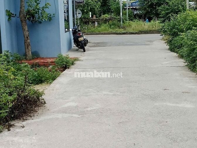 🌷 CHỦ GỬI LÔ ĐẤT SIÊU ĐẸP 100m2 -SÁT ĐƯỜNG NAM KỲ KHỞI NGHĨA-DƯƠNG SƠN