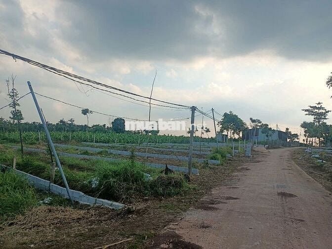 🏡 BÁN ĐẤT NỀN ĐẸP - GIÁ TỐT - THỔ CƯ SẴN 🌴 XUÂN TÂY CẨM MỸ ĐỒNG NAI