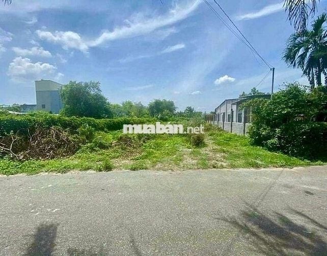 ĐẤT KCN TÂN PHÚ TRUNG, 8MX 38M, GIÁ NGỘP 475 TRIỆU, CÒN THƯƠNG LƯỢNG