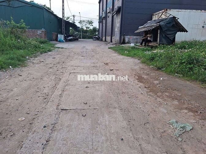 Bán 43m Trung oai Hoa hậu trong tầm giá khổ đất diện tích hiếm còn sót
