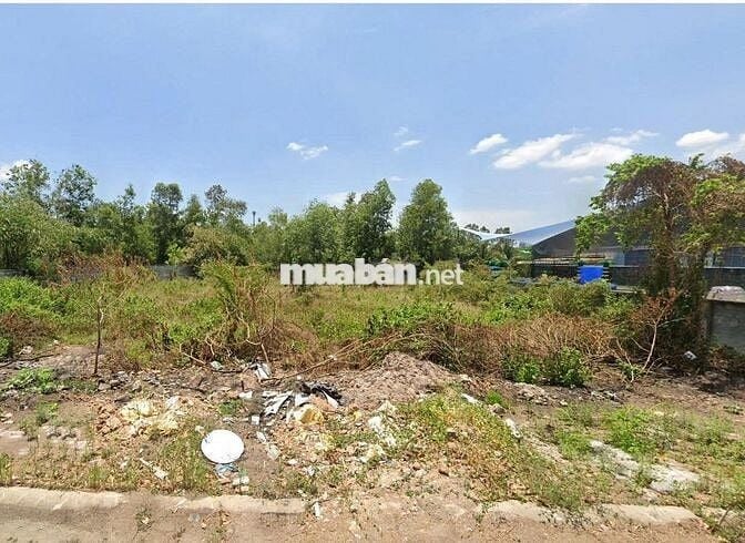 Cần tiền bán mảnh đất 1300m Nguyễn Thị Định giá tốt cho nhà đầu tư