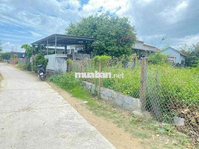 Cần tiền bán gấp 2 lô đất liền kề ngay trung tâm Ninh Phụng Ninh Hoà