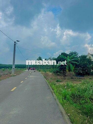 CHÚ EM CẦN RA MIẾNG ĐẤT THỔ CƯ Ở TP HỒ CHÍ MINH 600M2 CHỈ 630TR