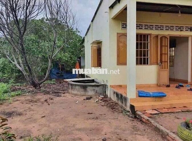 Chủ ra đi căn nhà vườn 2500m2 giá ngộp 550tr
