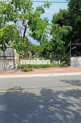 Bán đất MT đường Nguyễn Thị 6 Hóc Môn 72m2 chỉ 777 tr