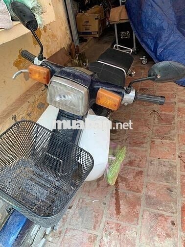 xe cub 82 hơi 50 không cần bằng lái