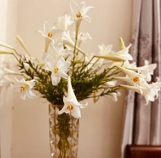 Cho thuê nhà tập thể 2 tầng ngay Bờ Hồ