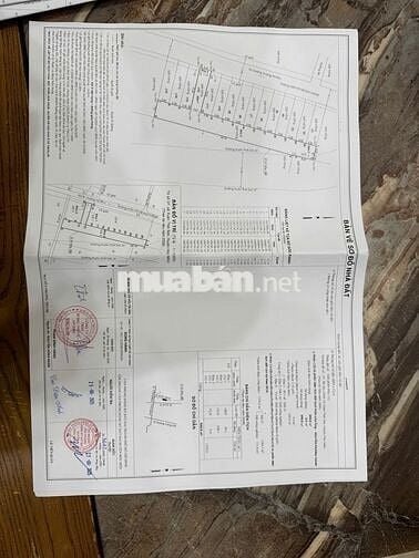 LÊN SÓNG LÔ ĐẤT 647M GẦN ĐƯỜNG DƯƠNG CÔNG KHI,  HÓC MÔN GIÁ 8,599 TỶ
