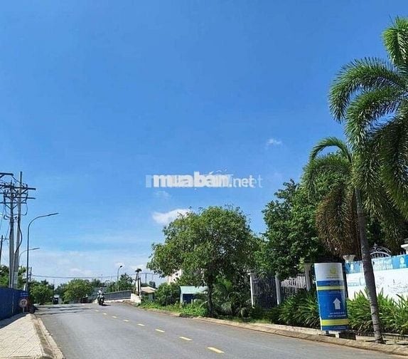 Giỏ hàng tại KDC Đào Sư Tích, Phước Kiển, Nhà Bè.