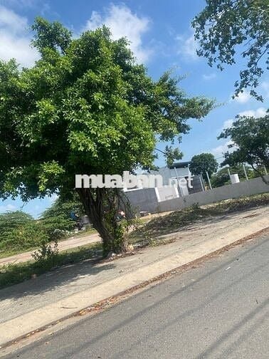 Bán gấp, Giá thấp lô đất đẹp 146.8m2, 4,2 tỷ tại Trần Hải Phụng