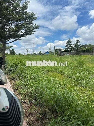 ĐẤT NỀN AN PHƯỚC – CƠ HỘI SỞ HỮU CHỈ VỚI 2 TỶ 6