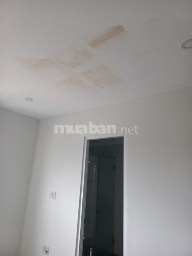 Nhận sơn nước, sơn hiệu ứng và chống thấm