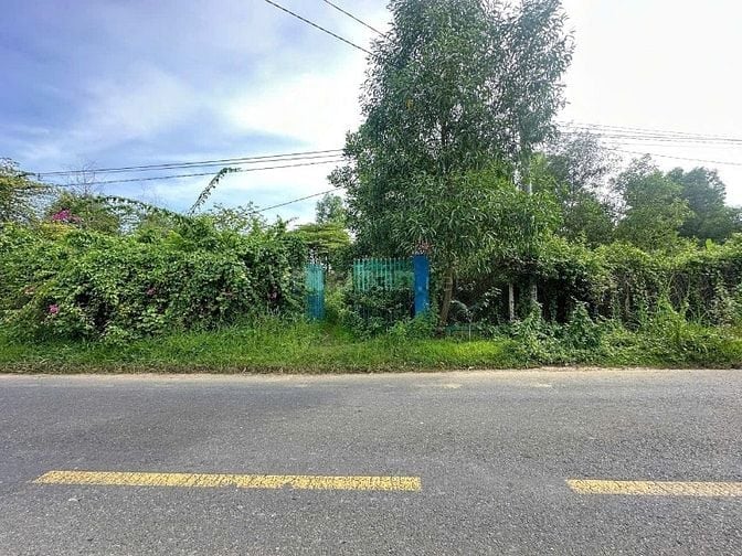 Bán đất mặt tiền đường Ông Binh, Bình Lợi – Vĩnh Cửu, Đồng Nai