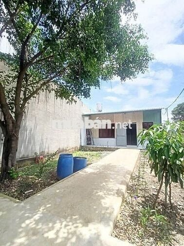 Bán gấp căn nhà nhỏ có vườn ở Đ. Tân Thới Nhì 1 (108m2 ) SHR giá 905tr