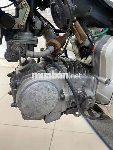 Anlpha 2003 Nguyên zin mộc batp 9chủ
