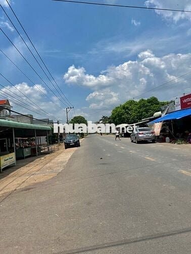 Đất Chú Năm cần bán gấp trả nợ 💥 ngân hàng, diện tích 300m2 thổ cư