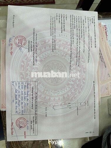 Bán Đát Sổ Riêng Thổ Cư 235m2 Chính Chủ Ở Đồng Phú