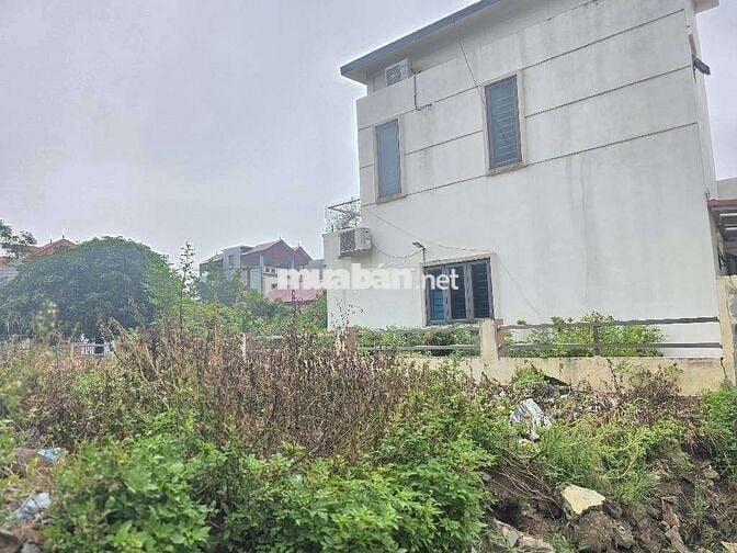 📣📣📣 B.Á.N Đ.Ấ.T - VĂN GIANG - HƯNG YÊN - Ô TÔ - 60M² - 2.X TỶ