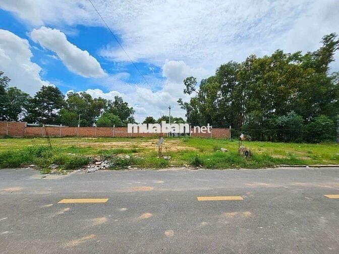 Đất đẹp 135m ngang 6m mặt tiền Tân Hiệp gần chợ Phú An Tân Bình Dĩ An