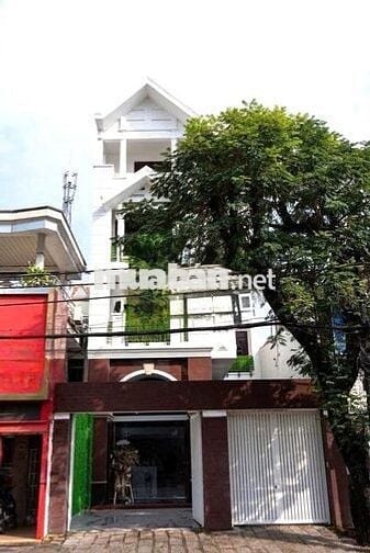 Cho Thuê Nhà Đường Trương Công Định, Tân Bình ( 12x35m - CHDV / KS )