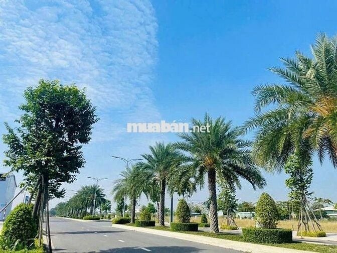 Đất nền 90m2 - 1ty890 đường Nguyễn Hữu Trí có sổ riêng.