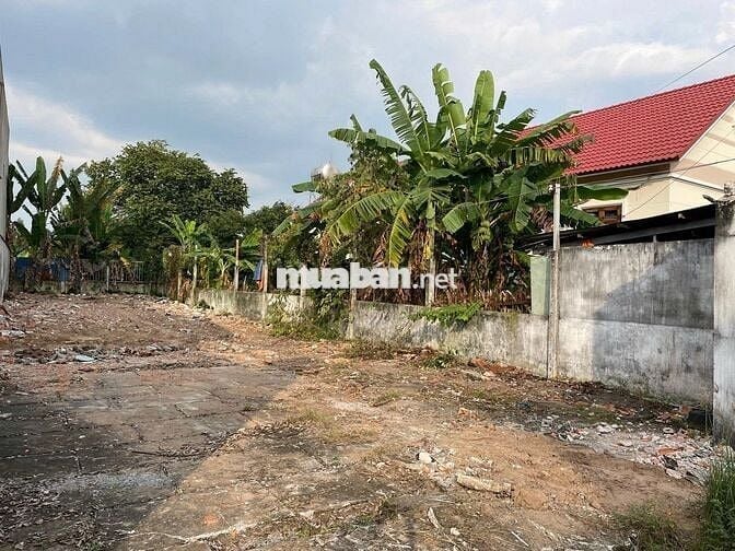 Kẹt vốn bán đất Thái Mỹ, Củ Chi. SHR, DT 650m2, giá 1 tỷ 7, kdc đông