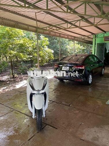 cần bán xe Honda SH