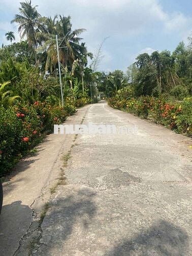 Đất nền thổ cư 100%, gần bến phà Cô Bắc, trung tâm hành chính Bình Tân