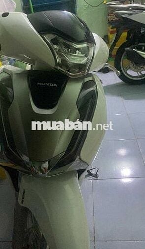 cần ra đi xe bao đẹp miễn bàn