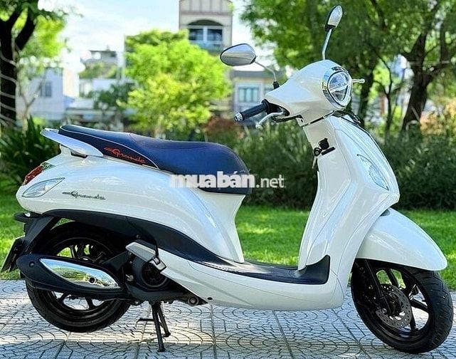 Grande 2020 đèn led. biển 43