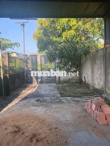 Cho Thuê Nhà Gần Ngã 3 Nguyễn Thái Học