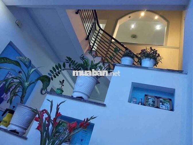 Nhà hẻm 8m nở hậu chính chủ bán