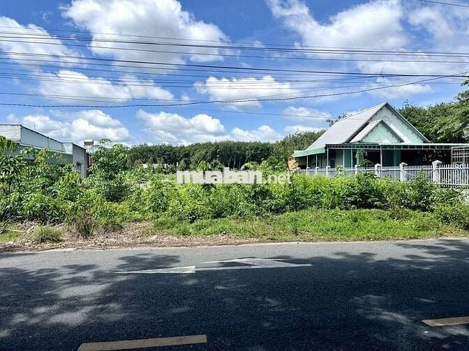 Kinh doanh tạp hóa, quán CF hoặc cho thuê thì lấy mảnh này 260tr
