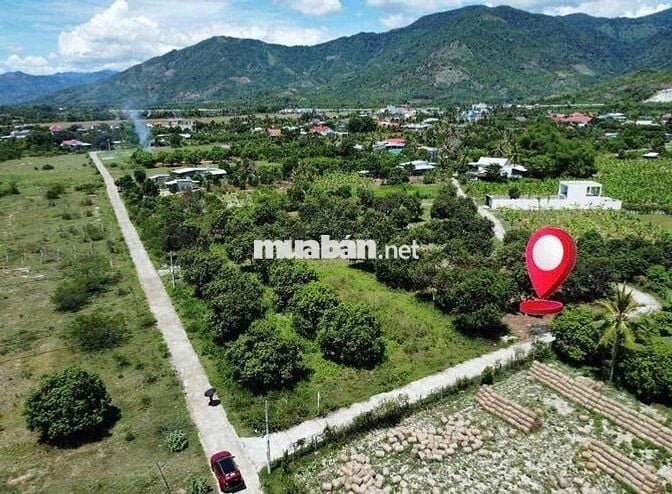 Cần tiền bán nhanh 3 lô đất Suối Tiên Ven Nha Trang