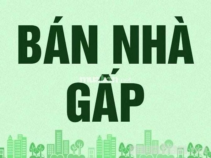 Cần bán nhà hẻm xe hơi, đường Phạm Thế Hiển, P.6, Q.8, vị trí đẹp