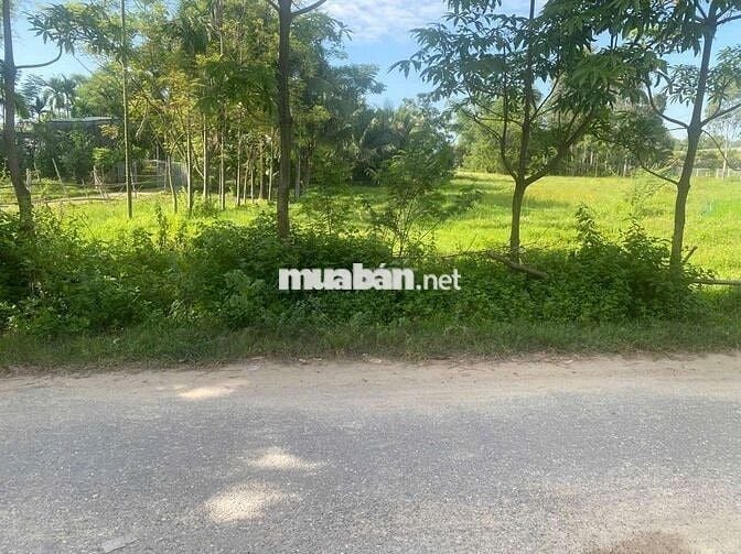 MẶT TIỀN ĐẸP – ĐƯỜNG NHỰA 10m5 – NAM SƠN, HÒA TIẾN, ĐÀ NẴNG