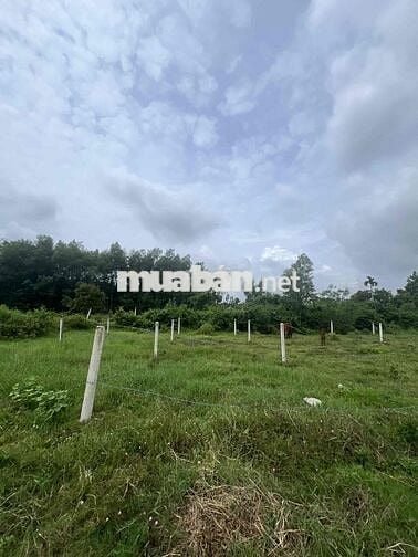 Đất KCN Phước Đông cachd DT782 50m