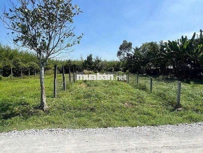 Bán đất ngay gần KCN Trảng Bàng 233m2 7x33 giá 760triệu,sổ sẵn,còn bớt