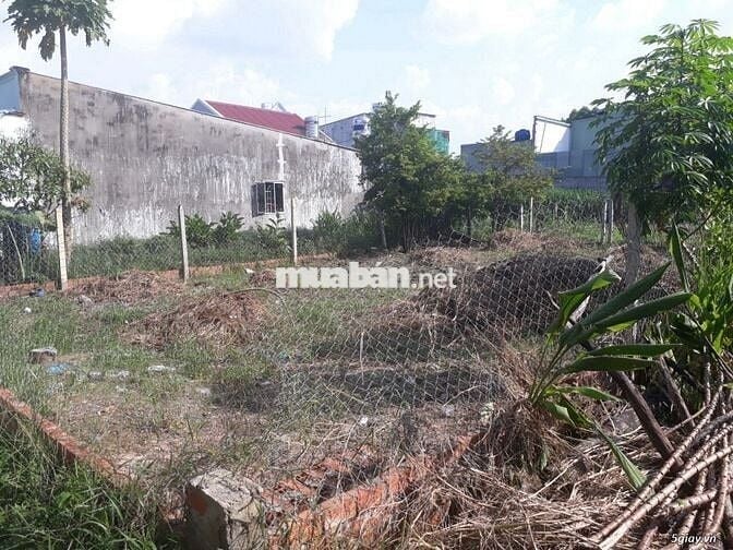 Đất đẹp Hóc Môn 138m2 full thổ, sổ riêng, xây dựng ngay – giá 750Triệu