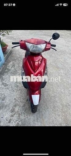 nhà dữ xe bán bớt