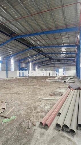 Kho, Xưởng Đường conten Có Pccc giá rẻ