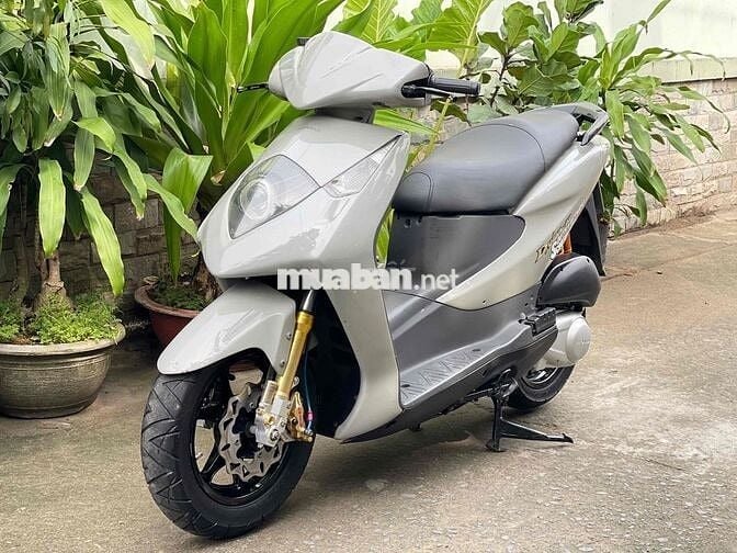 Dylan 150 đời 2004 dọn kiểng BSTP