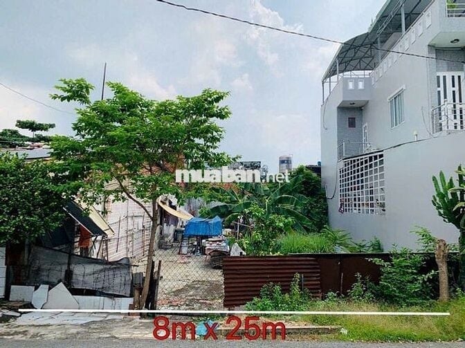 đất Chợ VIỆT KIỀU, 8m x 25m có THỔ CƯ 520TR,mt đường 8m, Tân Thông Hội