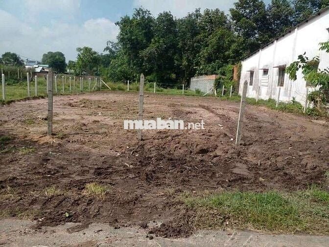 Mua nhanh bán nhanh cần tiền hạ giá bán gấp 302m2 giá 480tr