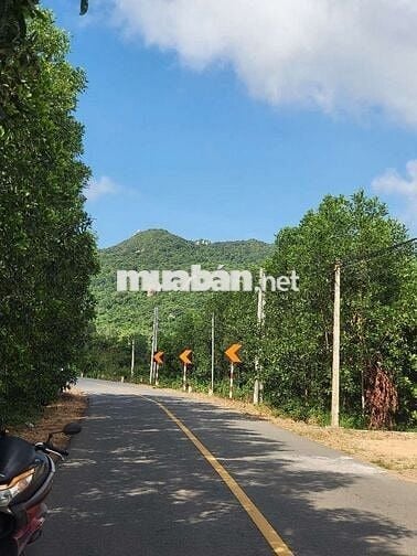 Bán đất xào Long Mỹ , xã Phước Hải 2,8 tỷ